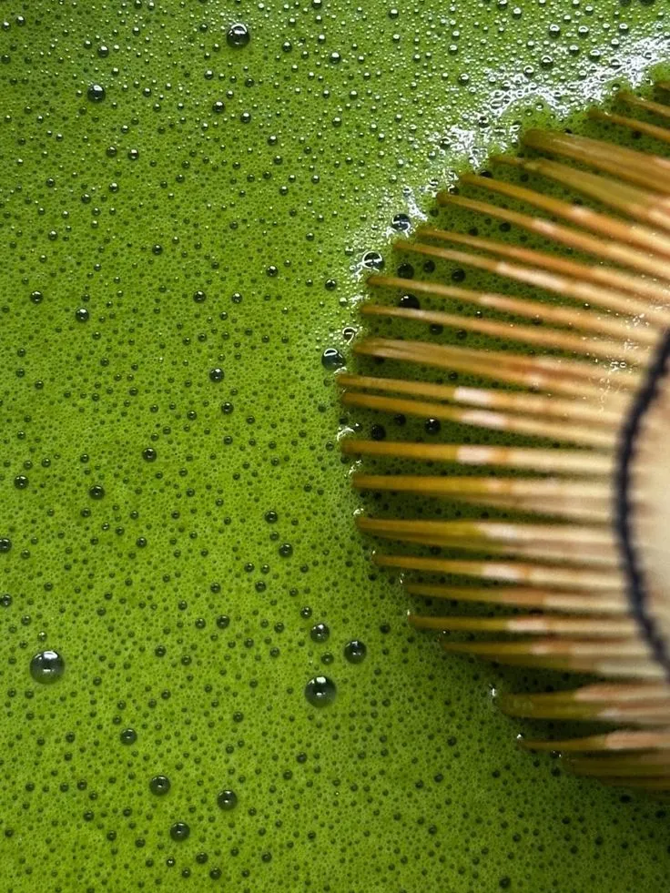 Matcha being whisked with traditional chasen