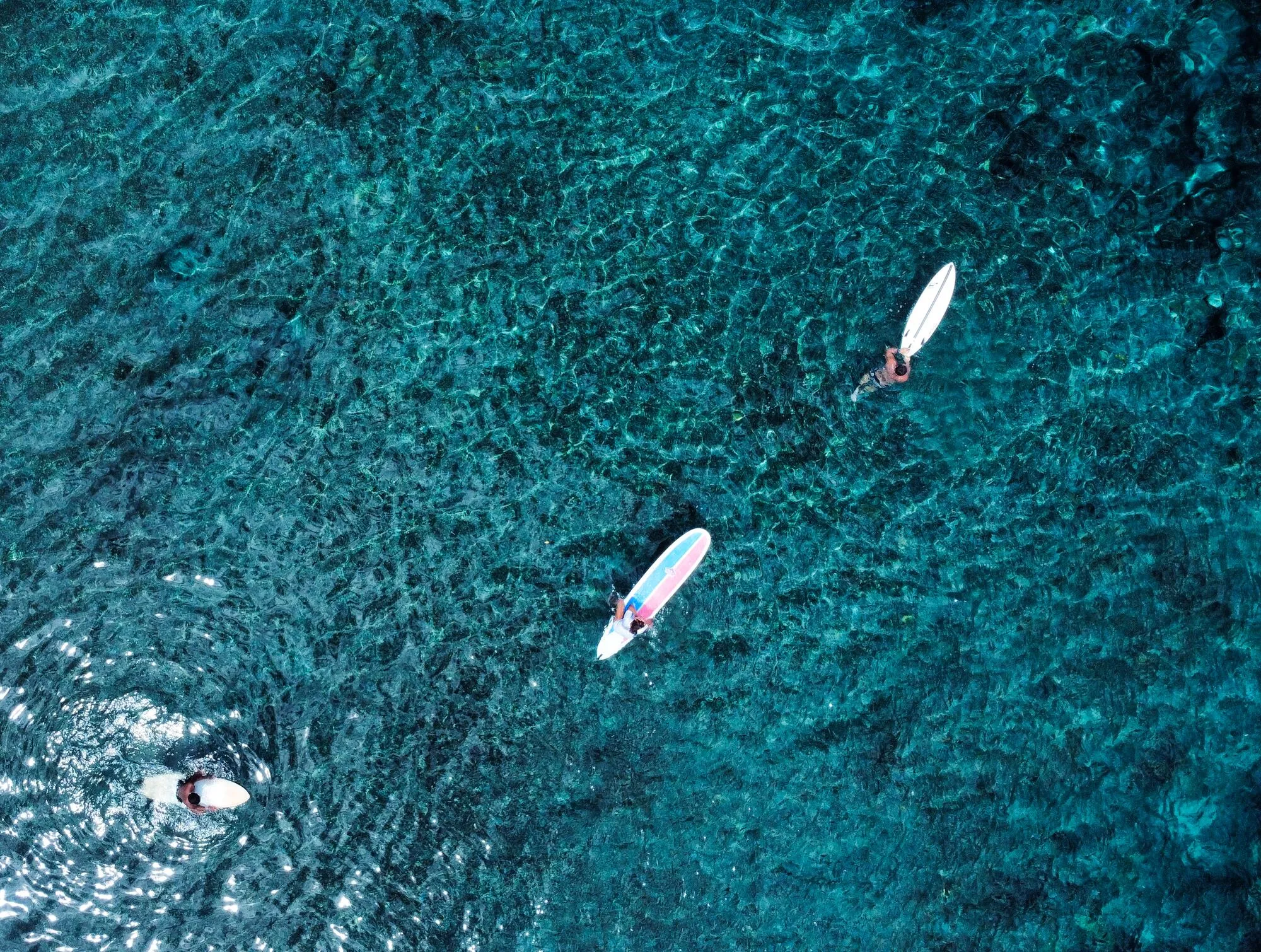 Three surfers lying on their boards and paddling over clear blue water and reef, seen from straight above