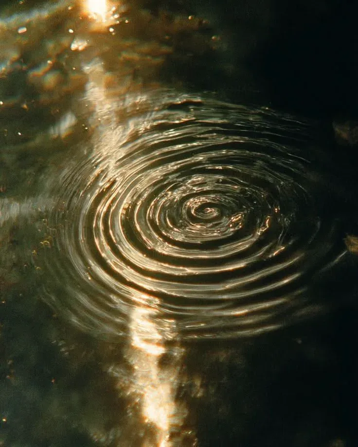 Golden ripples spreading across still water, the source