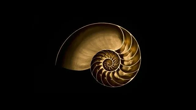 BIOHACKING at Vultun Siargao