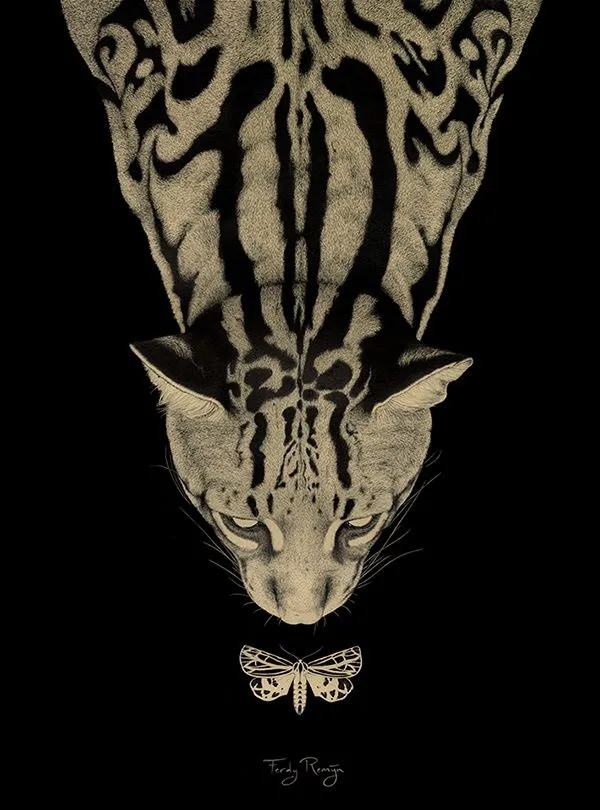 Illustrated wildcat and moth artwork by Ferdy Remijn — Feral brand art