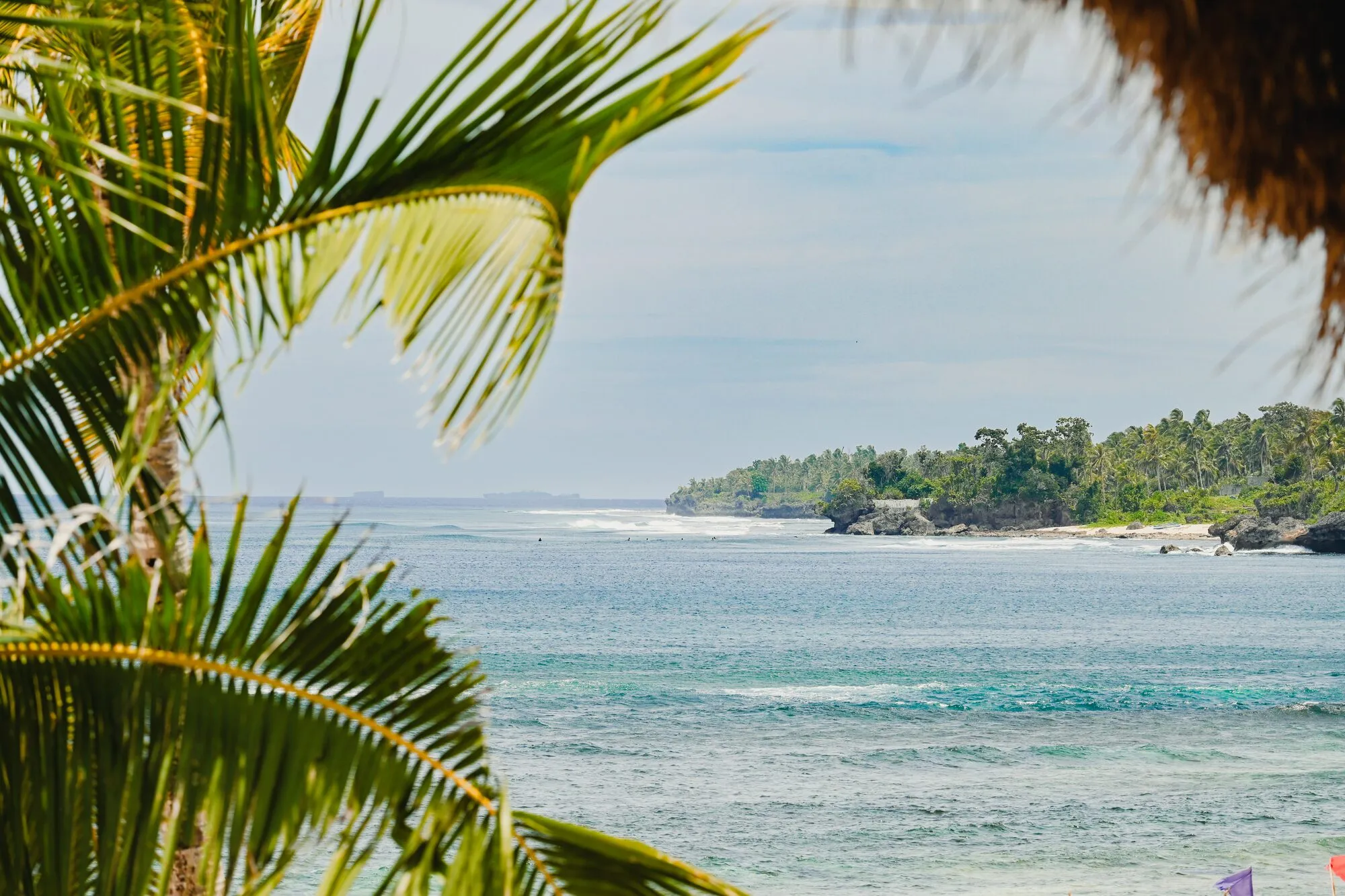 Coconut palm fronds framing the sea and a green, tree-lined stretch of coast