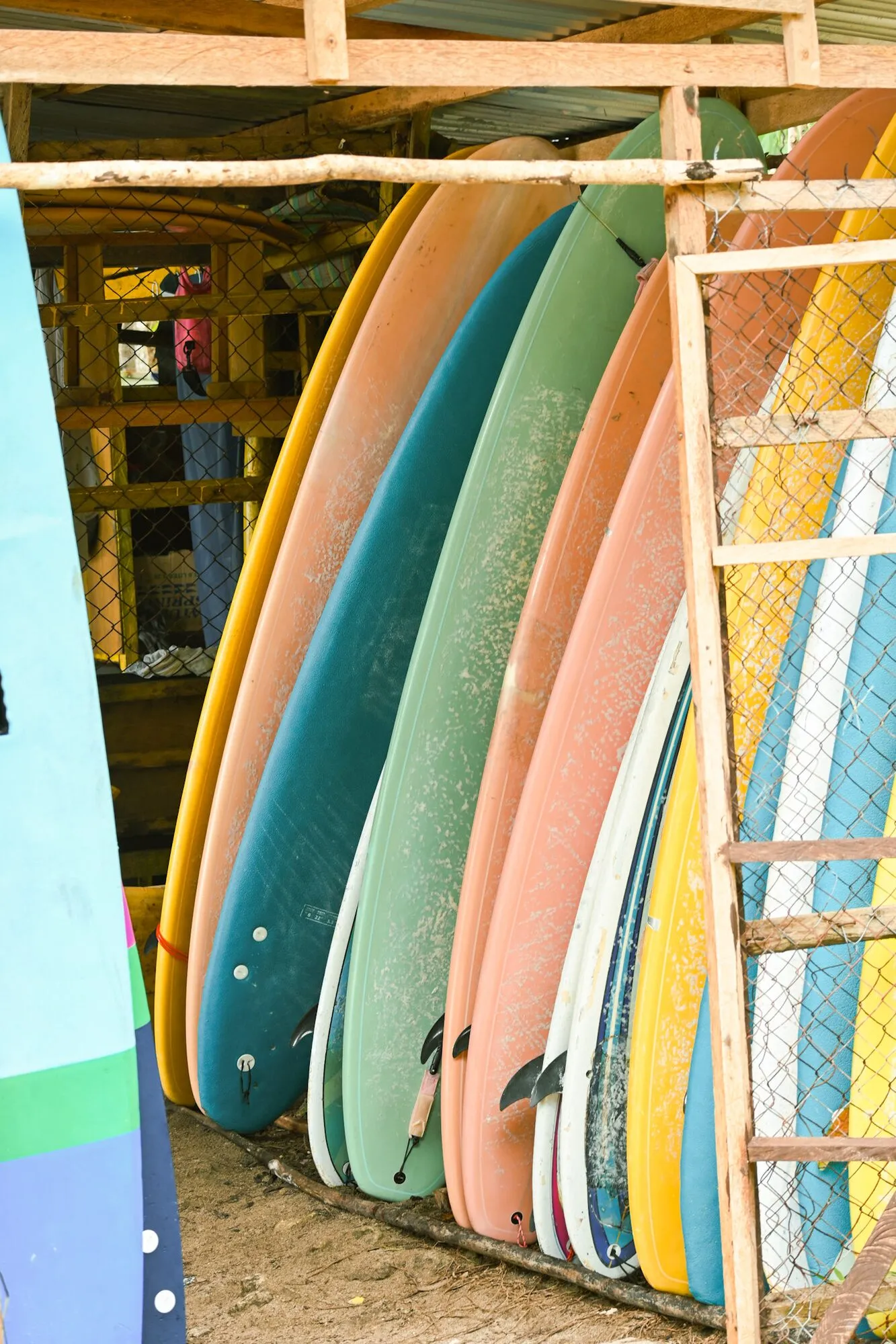 Longboards and soft-top surfboards in pastel colours standing in a wooden rack