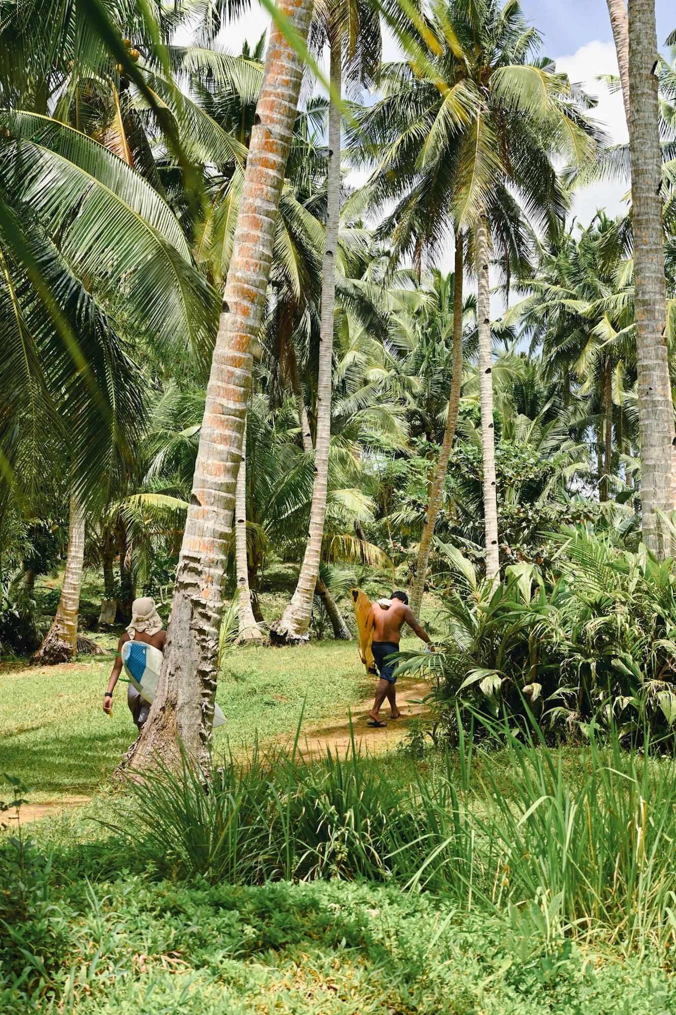 Two people carrying surfboards along a grass path through a coconut grove
