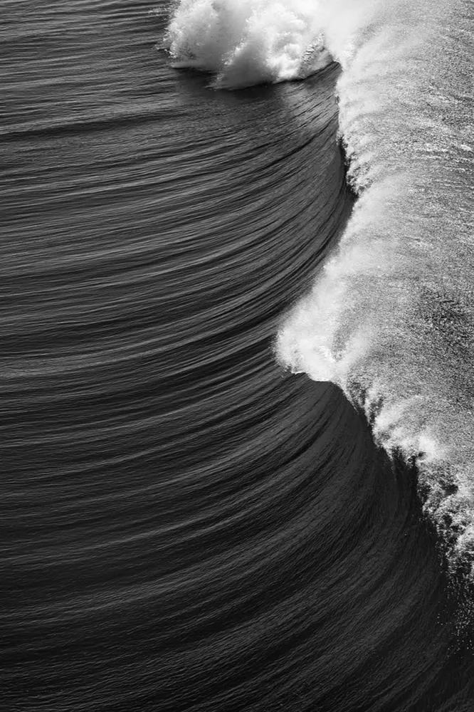 Black and white wave curl — ocean energy and flow