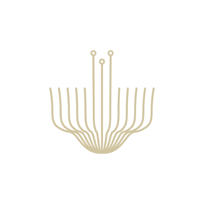 vultun siargao biohacking logo